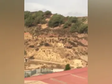 Siete guardias civiles resultan heridos por quemaduras al recibir cal viva y ácido en un nuevo salto masivo a la valla de Ceuta Siete guardias civiles resultan heridos por quemaduras al recibir cal viva y ácido en un nuevo salto masivo a la valla de Ceuta
