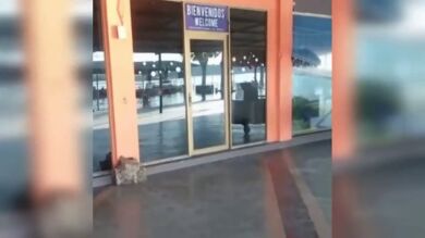 Un fuerte terremoto de magnitud 6,9 sacude la costa norte de Venezuela