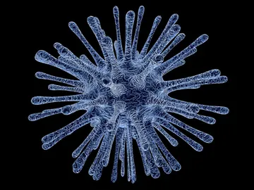 Instantánea de un virus Instantánea de un virus