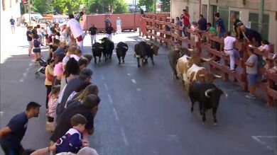 Así se vivirá la semana de encierros en San Sebastián de los Reyes