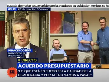 Ignacio Cosidó, portavoz del PP en el Senado en una entrevista en Espejo Público Ignacio Cosidó, portavoz del PP en el Senado en una entrevista en Espejo Público