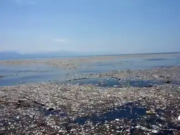 PLASTICOS PLASTICOS