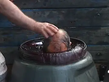 fiestascuriosas fiestascuriosas