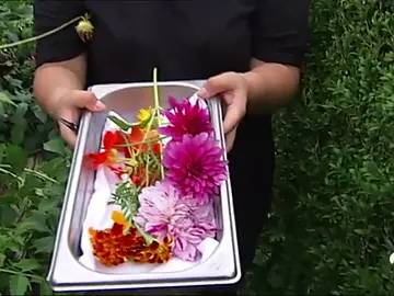 NUEVA fglorescomestibles NUEVA fglorescomestibles