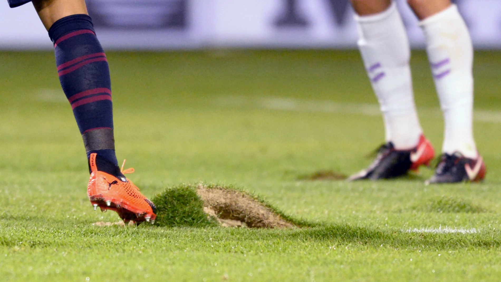 El césped del José Zorrilla, levantado El césped del José Zorrilla, levantado