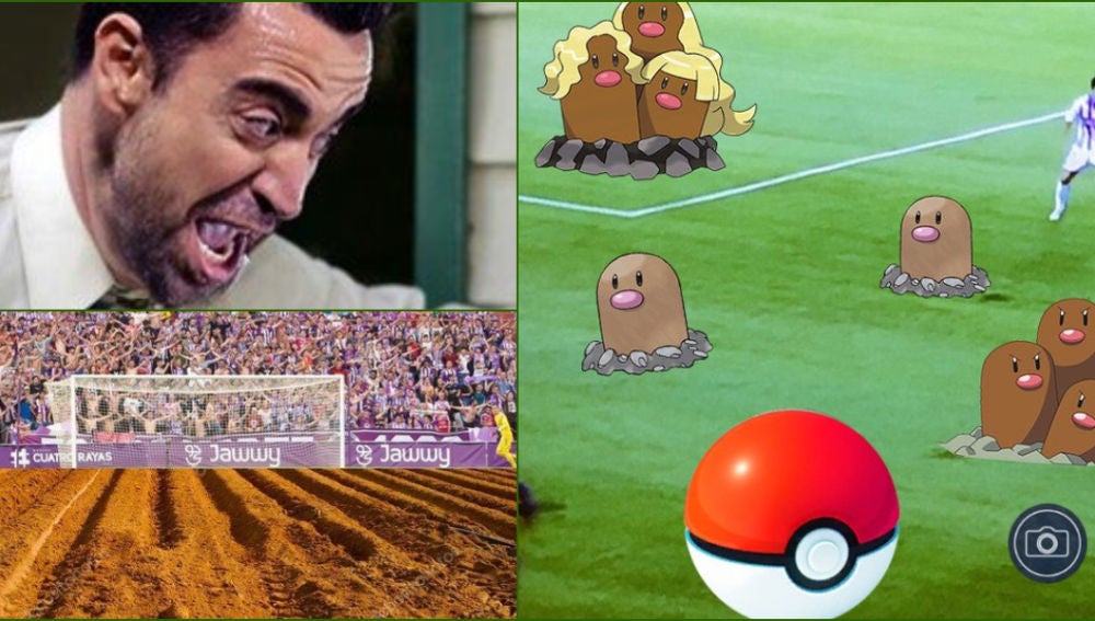 Memes campo Zorrilla