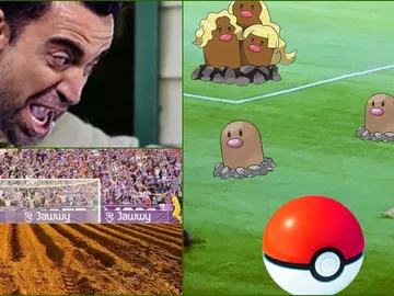 Memes campo Zorrilla Memes campo Zorrilla