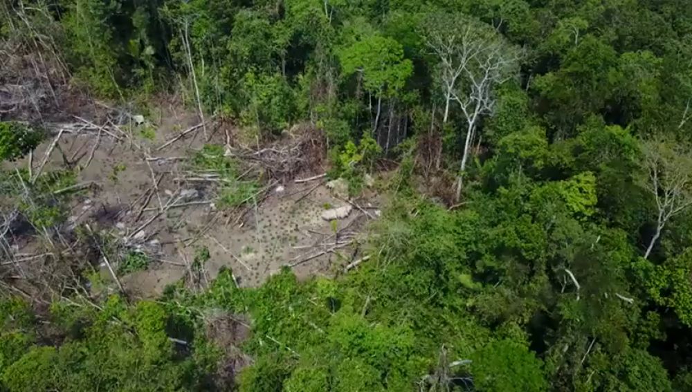 Gracias a un dron se ha podido captar imágenes de una tribu indígena en el Amazonas