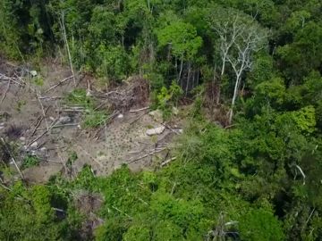 Gracias a un dron se ha podido captar imágenes de una tribu indígena en el Amazonas