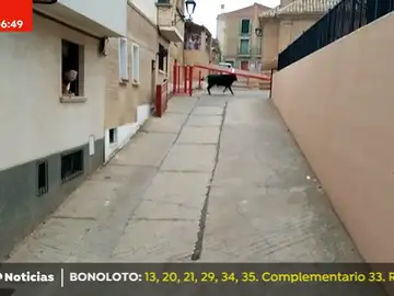 COGIDA COGIDA