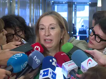 Pastor reitera a Torra su invitación al Congreso pero "dentro del Reglamento del Congreso" Pastor reitera a Torra su invitación al Congreso pero "dentro del Reglamento del Congreso"