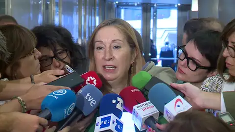 Pastor reitera a Torra su invitación al Congreso pero "dentro del Reglamento del Congreso" Pastor reitera a Torra su invitación al Congreso pero "dentro del Reglamento del Congreso"