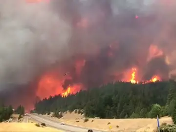 Un incendio forestal en California provoca la evacuación de decenas de personas Un incendio forestal en California provoca la evacuación de decenas de personas