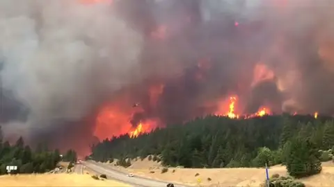 Un incendio forestal en California provoca la evacuación de decenas de personas Un incendio forestal en el norte de California provoca la evacuación de decenas de personas