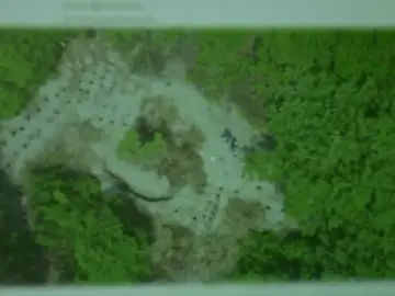 Ubican fosa clandestina con 166 cráneos en el estado mexicano de Veracruz Ubican fosa clandestina con 166 cráneos en el estado mexicano de Veracruz
