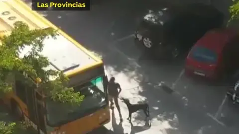Agresión a un conductor de autobús en Valencia Agresión a un conductor de autobús en Valencia