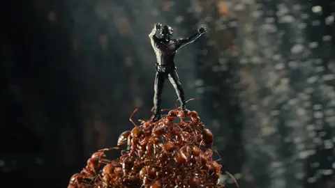 'Ant-Man' Escena hormigas y 'Ant-Man'