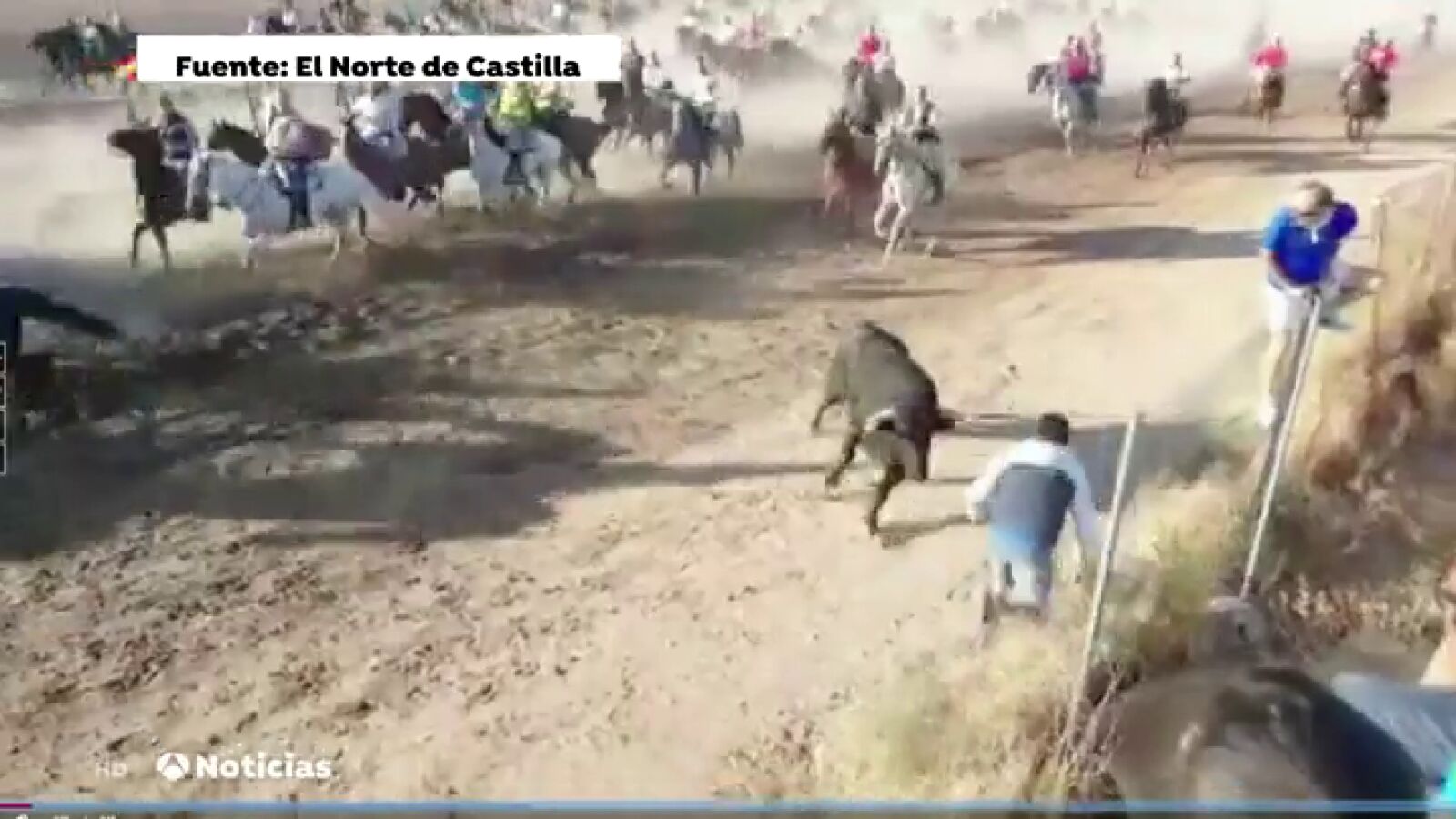 Herido de gravedad al ser corneado por un novillo en Medina del Campo