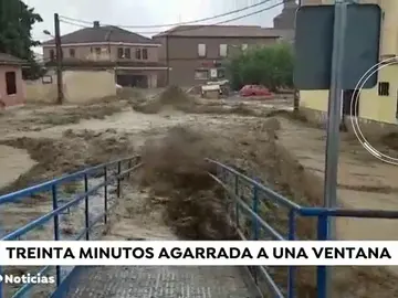 CEBOLLA CEBOLLA
