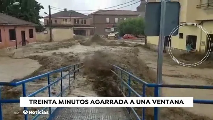 CEBOLLA