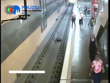 Un joven tira a las vías del metro a un hombre en Alemania tras discutir con su novia