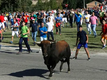 Imagen del festejo del Toro de la Vega, en Tordesillas Imagen del festejo del Toro de la Vega, en Tordesillas