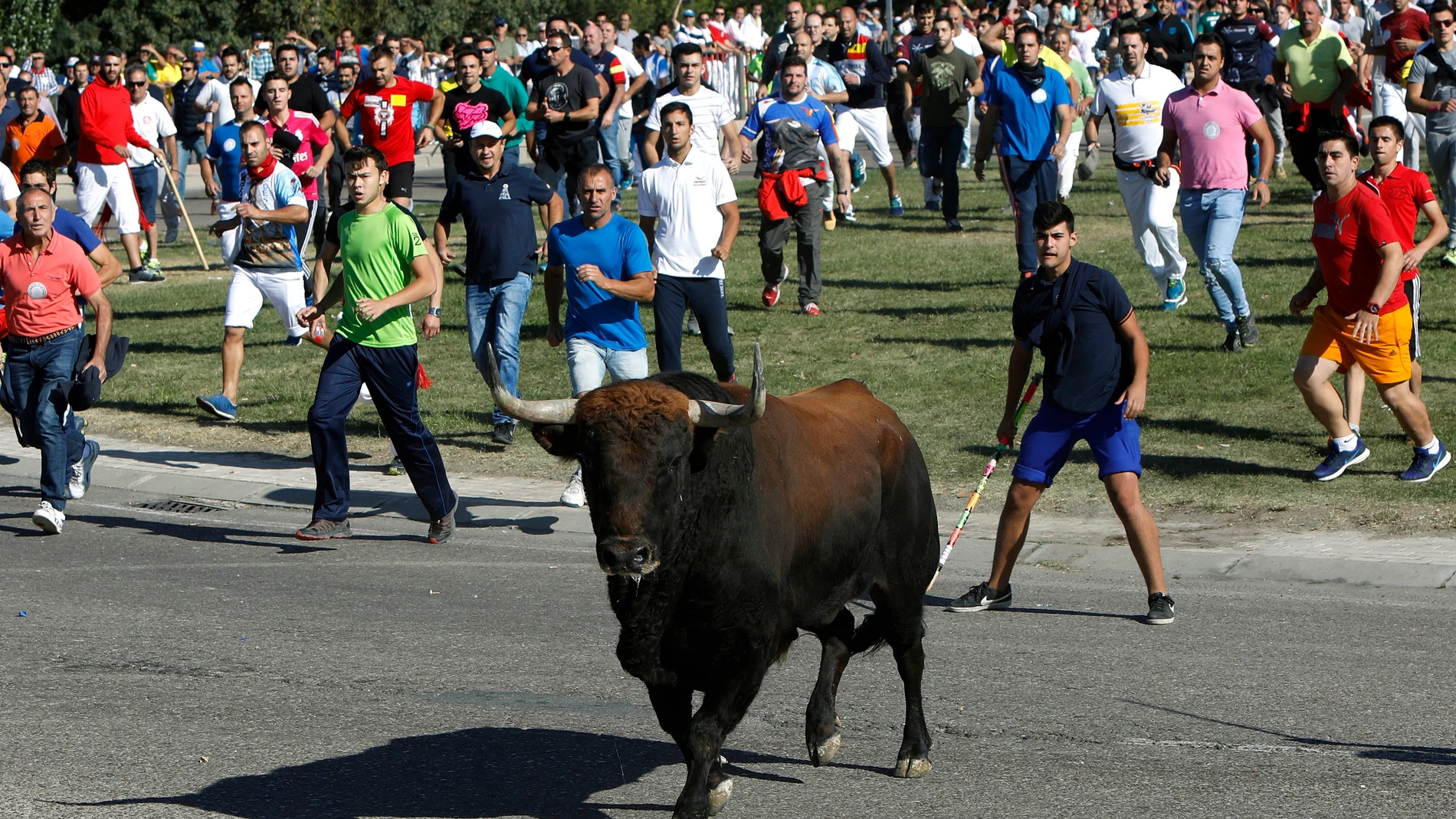 Imagen del festejo del Toro de la Vega, en Tordesillas Imagen del festejo del Toro de la Vega, en Tordesillas