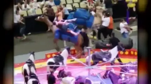 Siete personas resultan heridas tras un accidente con un camello en un circo Siete personas resultan heridas tras un accidente con un camello en un circo