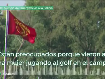 LlamadaCelia_A3D LlamadaCelia_A3D