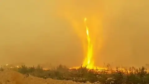 FUEGO REMOLINO FUEGO REMOLINO