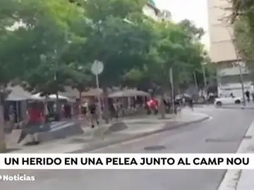 pelea_campnou pelea_campnou