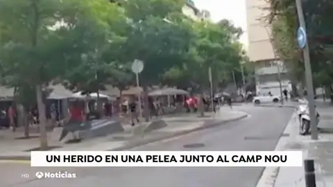 pelea_campnou pelea_campnou