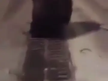 Por alcantarillas, un nuevo método de entrada de inmigrantes en Melilla Por alcantarillas, un nuevo método de entrada de inmigrantes en Melilla