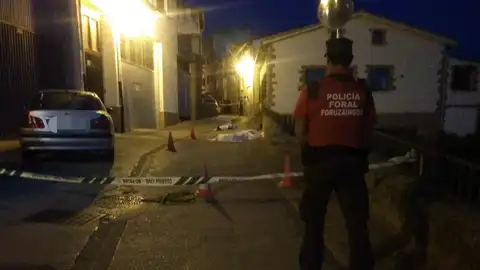 Tres muertos y tres detenidos por una reyerta entre dos familias en Cáseda, en Navarra Tres muertos y tres detenidos por una reyerta entre dos familias en Cáseda, en Navarra
