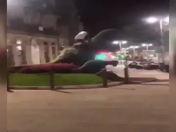 Un hombre destroza un seto en Vigo con forma de dinosaurio Un hombre destroza un seto en Vigo con forma de dinosaurio
