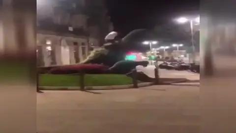 Un hombre destroza un seto en Vigo con forma de dinosaurio Un hombre destroza un seto en Vigo con forma de dinosaurio