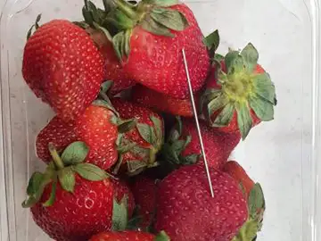 Fotografía que facilita la policía de Queensland en la que se puede apreciar una aguja en un paquete de fresas Fotografía que facilita la policía de Queensland en la que se puede apreciar una aguja en un paquete de fresas