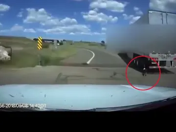 Liberan a un perro atado a un camión de gran tonelaje Liberan a un perro atado a un camión de gran tonelaje