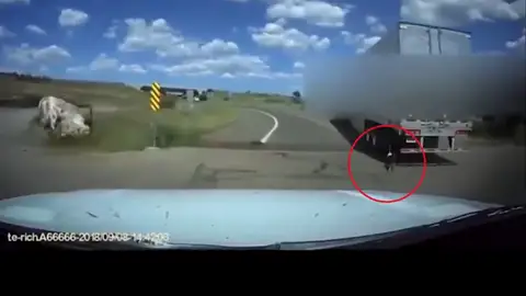 Liberan a un perro atado a un camión de gran tonelaje Liberan a un perro atado a un camión de gran tonelaje