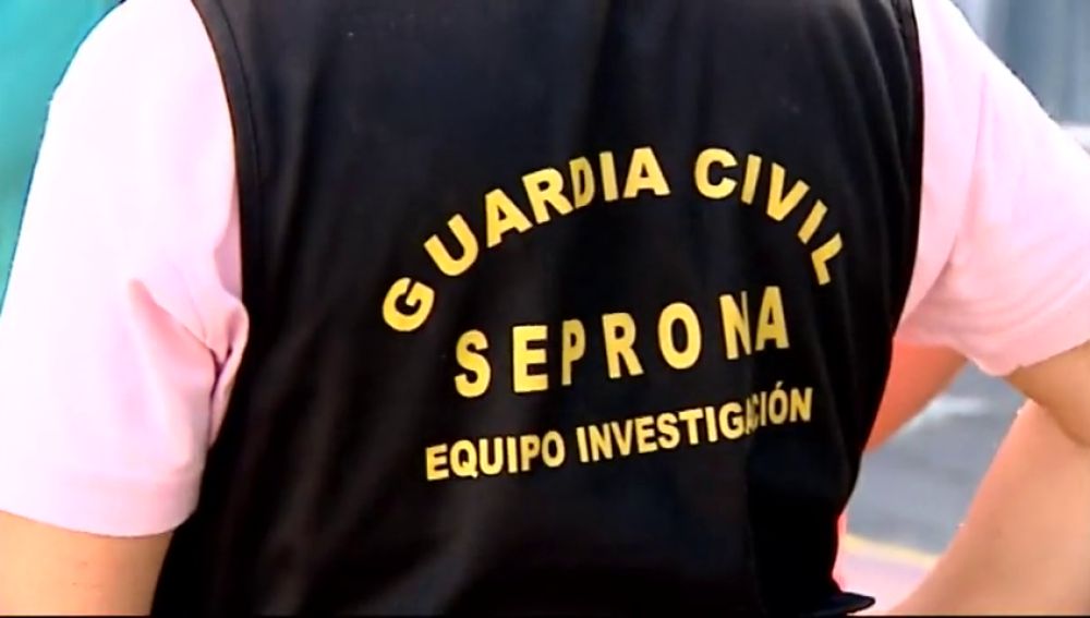  Emergencias atiende más de 100 llamadas de afectados por picores y molestias en Isla Cristina