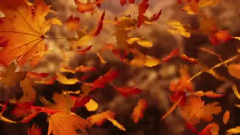 El otoño llega este domingo ¿será el último en el que atrasemos la hora? El otoño llega este domingo ¿será el último en el que atrasemos la hora?