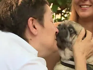 Visita de mascotas en el hospital Visita de mascotas en el hospital