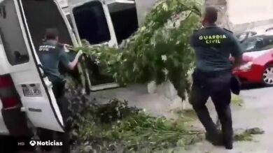 De calzado de un millón de dólares a una plantación marihuana, así ha cambiado la nave alicantina que fabricaba los zapatos más caros del mundo