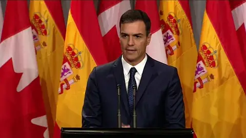 NUEVA SANCHEZ NUEVA SANCHEZ