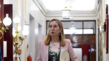La presidenta del Congreso Ana Pastor La presidenta del Congreso Ana Pastor