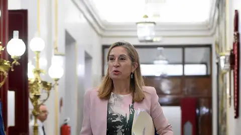 La presidenta del Congreso Ana Pastor La presidenta del Congreso Ana Pastor