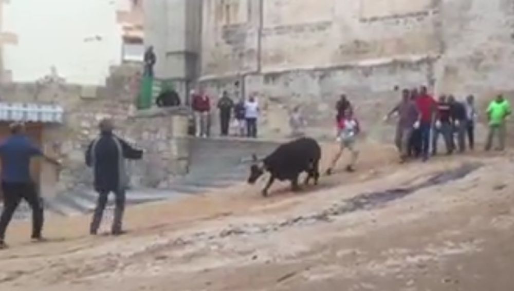 Los participantes arrastrando a la vaquilla