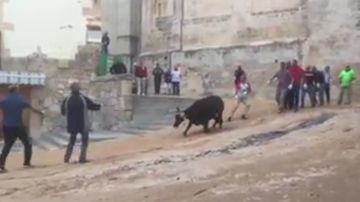 Los participantes arrastrando a la vaquilla