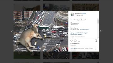 Un gato gigante se come el tráfico de la ciudad