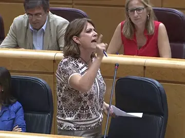 Delgado afronta la sesión en el Senado entre los gritos de "dimisión" de la bancada del PP Delgado afronta la sesión en el Senado entre los gritos de "dimisión" de la bancada del PP